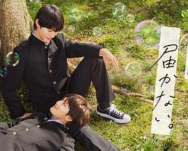 优化网站先推火19星