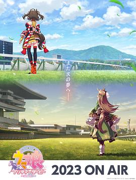 seo优化文章内容